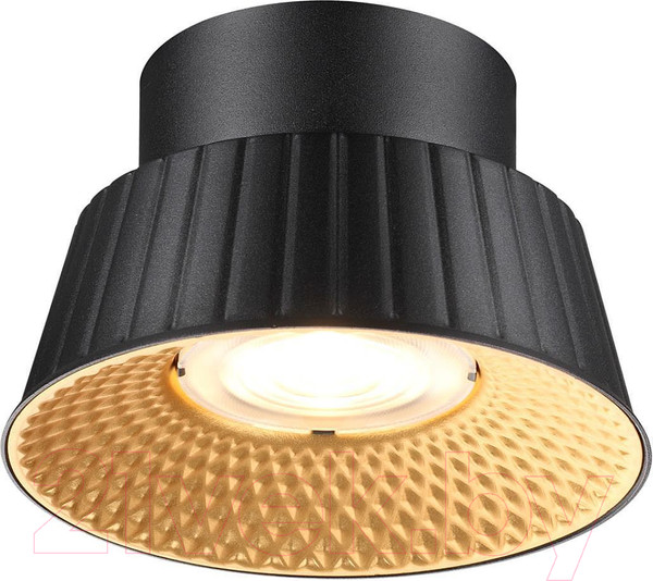 Изображение товара Потолочный светильник Odeon Light Mali 6643/6CL