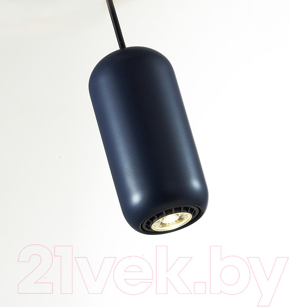 Изображение товара Потолочный светильник Odeon Light Cocoon 5060/1C