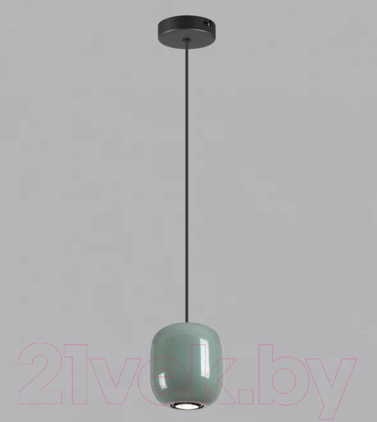 Изображение товара Потолочный светильник Odeon Light Ovali 5053/1C