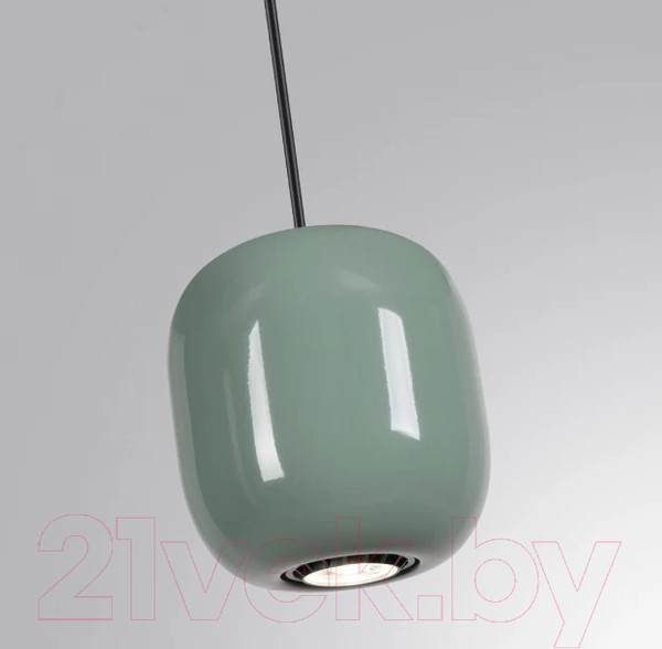 Изображение товара Потолочный светильник Odeon Light Ovali 5053/1C