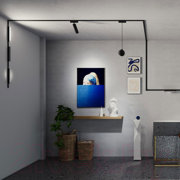 Изображение товара Трековый светильник Novotech Smal Shino 359080