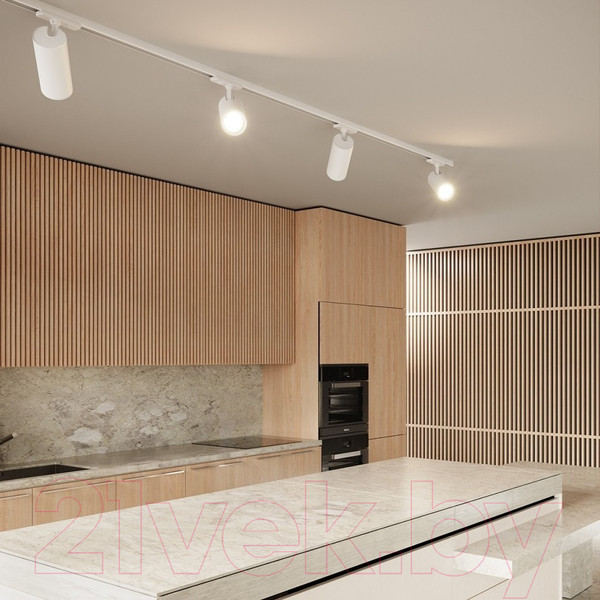 Изображение товара Трековый светильник Novotech Selene 359148