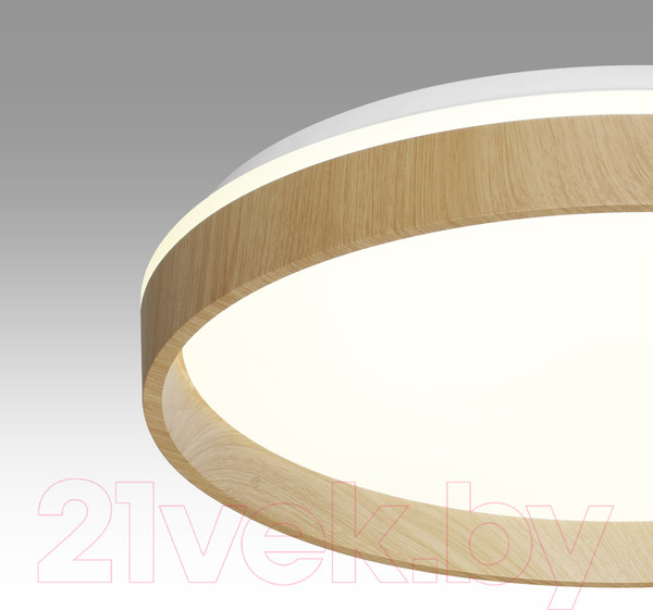 Изображение товара Потолочный светильник Sonex Basica 7684/DL