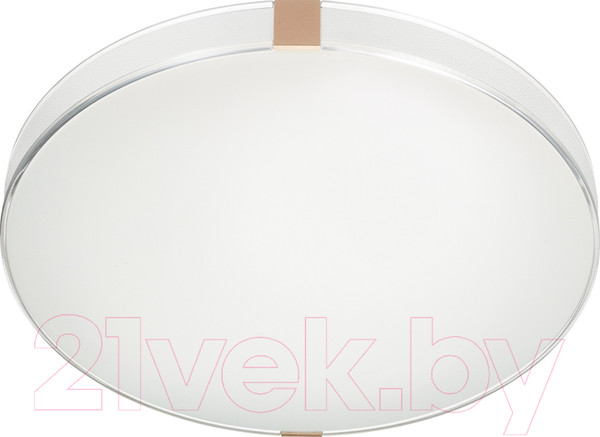 Изображение товара Потолочный светильник Sonex Color 7676/EL