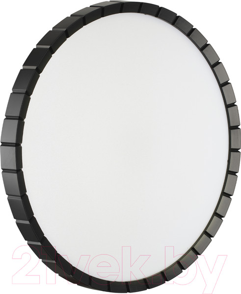 Изображение товара Потолочный светильник Sonex Pale 7649/EL