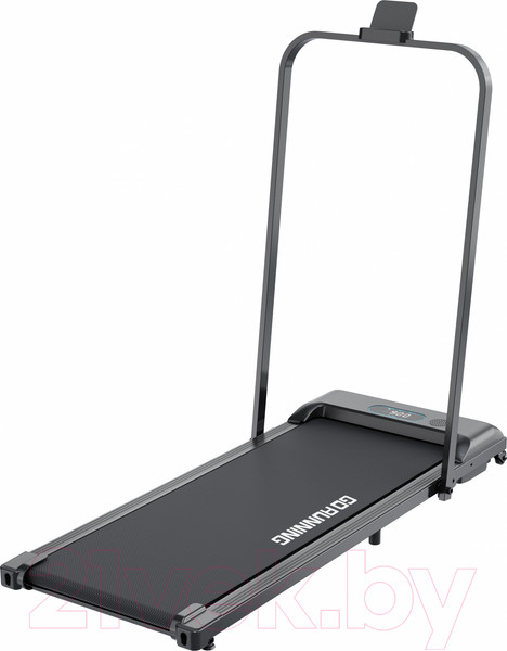 Изображение товара Электрическая беговая дорожка Iron Horse 8000S (серый)