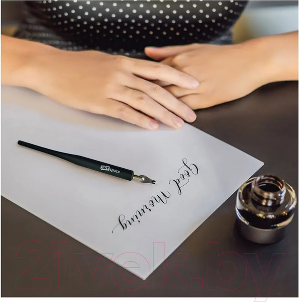 Изображение товара Набор перьев для каллиграфии ArtSpace CN_41221 (5шт)