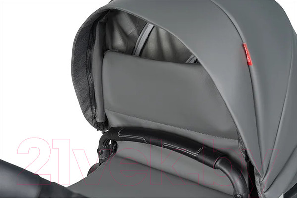 Изображение товара Детская универсальная коляска Aimile Original Autumn 2 в 1 / AA-8 (темно-серый)