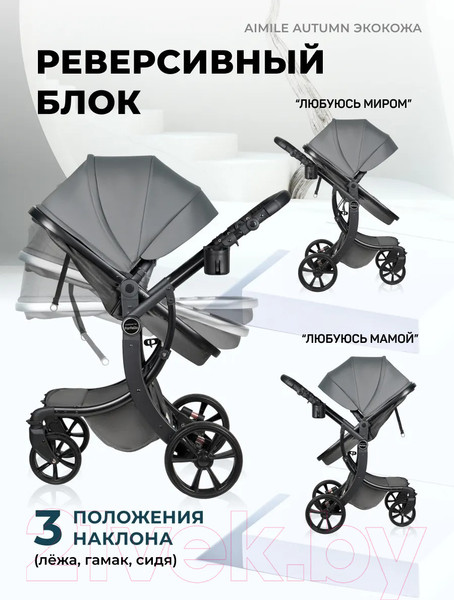 Изображение товара Детская универсальная коляска Aimile Original Autumn 2 в 1 / AA-8 (темно-серый)