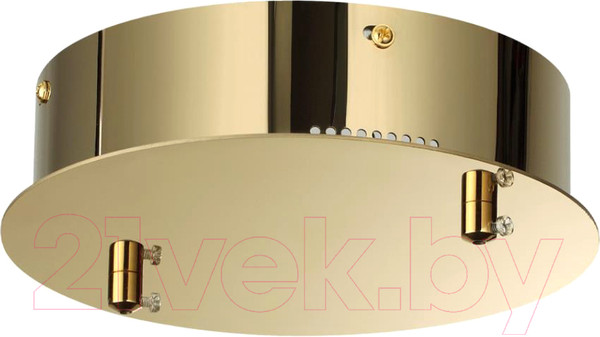 Изображение товара Потолочная база для светильника Odeon Light Panta 4926/2R