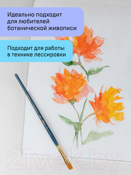 Изображение товара Набор кистей ГАММА Галерея. Синтетика / 3001006 (6шт)