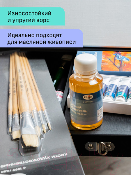 Изображение товара Набор кистей ГАММА Студия. Щетина плоская / 11001012 (12шт)