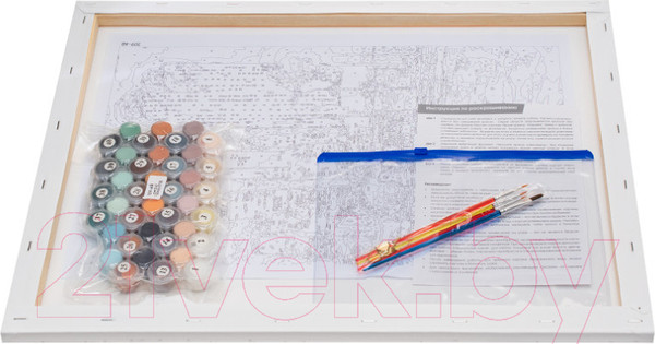 Изображение товара Картина по номерам БЕЛОСНЕЖКА Жгут пространство железные птицы / 309-AB 