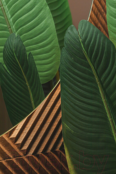 Изображение товара Зеркало Silver Mirrors Саванна-ТХ D1000  / LED-00002694