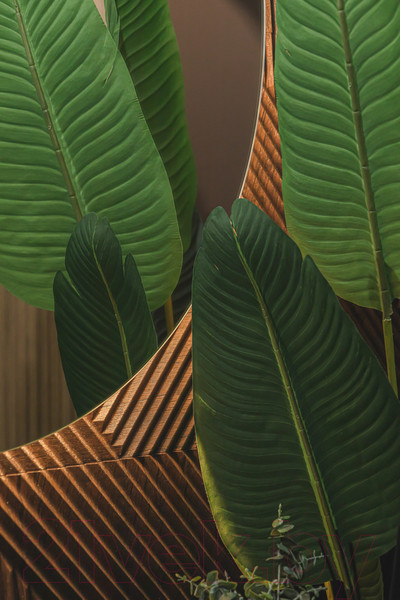 Изображение товара Зеркало Silver Mirrors Саванна-ТХ D1000  / LED-00002694