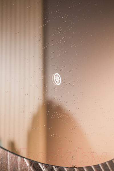 Изображение товара Зеркало Silver Mirrors Саванна-ТХ D1000  / LED-00002694