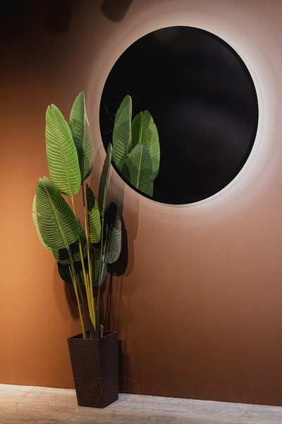 Изображение товара Зеркало Silver Mirrors Monaco Black D1000 / LED-00002769
