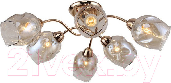 Изображение товара Люстра Lussole LGO LSP-8086