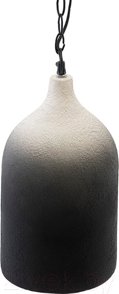 Изображение товара Потолочный светильник Bergenson Bjorn Sustainable / BB0000174 (черный/белый)