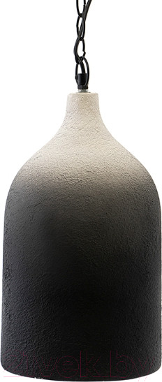 Изображение товара Потолочный светильник Bergenson Bjorn Sustainable / BB0000174 (черный/белый)