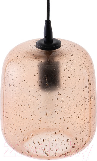 Изображение товара Потолочный светильник Bergenson Bjorn Speckles / BB0000541