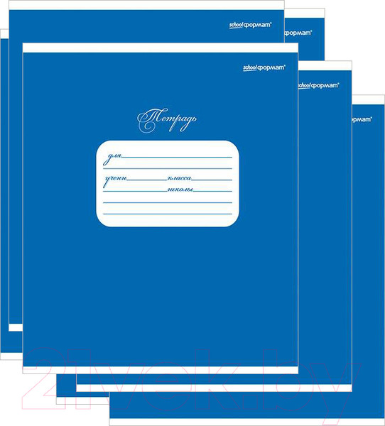 Изображение товара Набор тетрадей Schoolformat ТШКЛ12-СИН-НМП (20шт, синий)