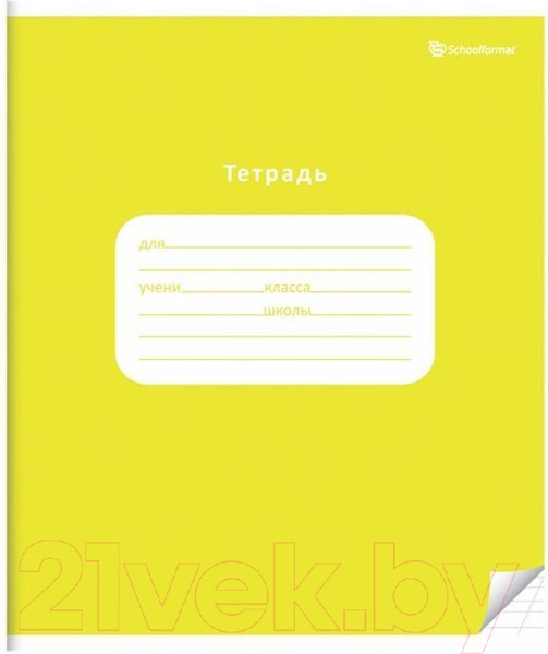 Изображение товара Набор тетрадей Schoolformat Яркие цвета / ТШКЛ12-ЯЦ-НМП (20шт)