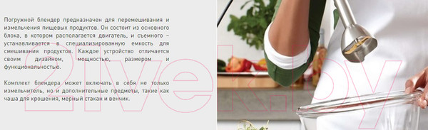 Изображение товара Блендер погружной Making Oasis Everywhere BL-85W2