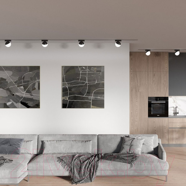 Изображение товара Трековый светильник Novotech Smal Shino 359262