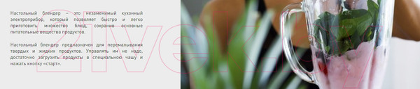 Изображение товара Блендер стационарный Making Oasis Everywhere ST-60W