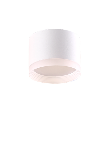 Изображение товара Точечный светильник Truenergy 21035