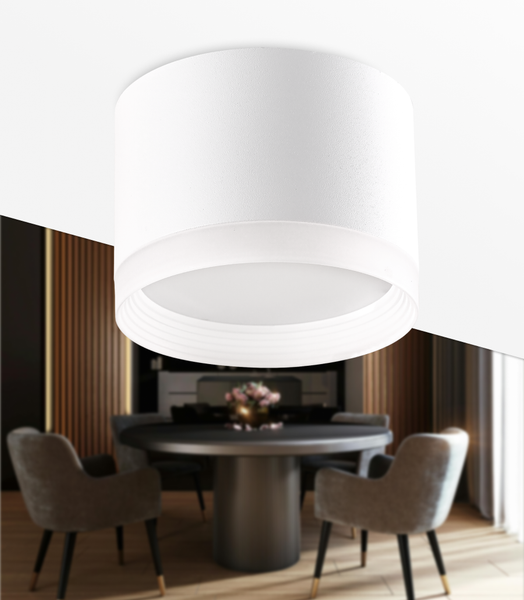 Изображение товара Точечный светильник Truenergy 21035