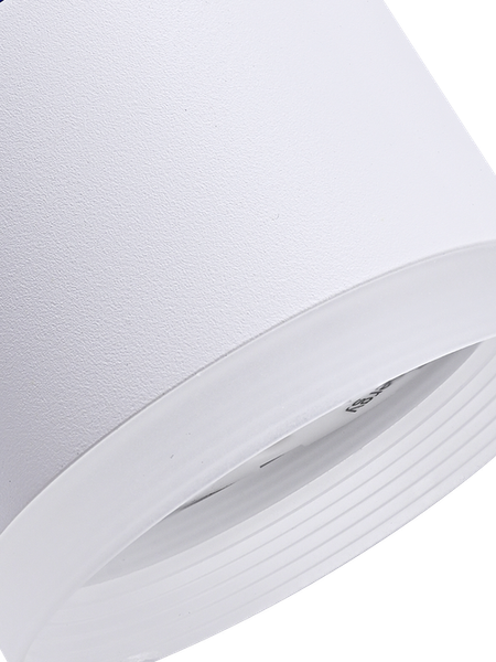 Изображение товара Точечный светильник Truenergy 21035