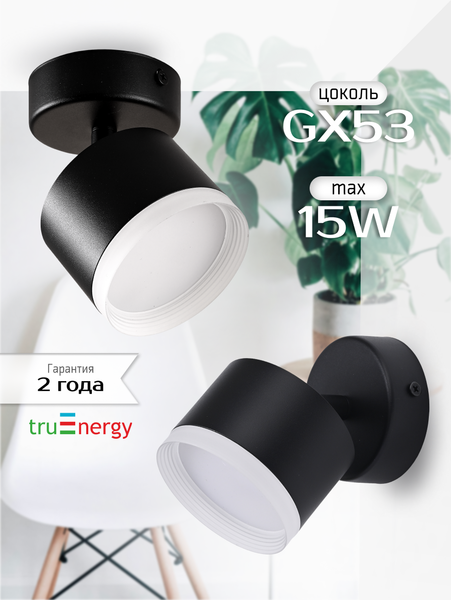 Изображение товара Спот Truenergy 21036