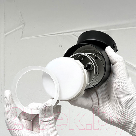 Изображение товара Спот Truenergy 21036