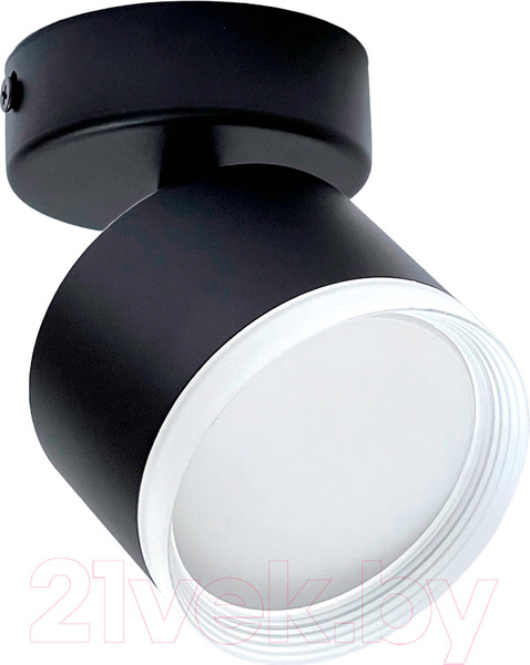 Изображение товара Спот Truenergy 21036