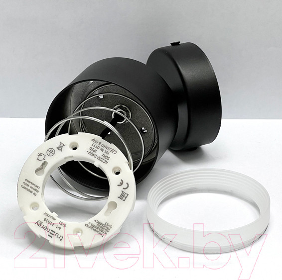 Изображение товара Спот Truenergy 21036