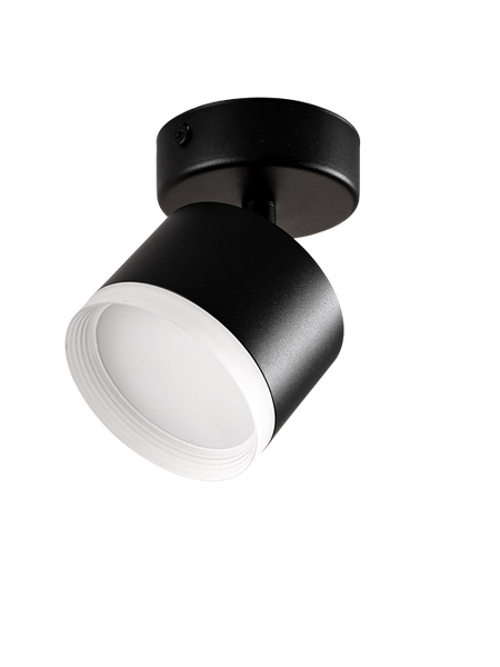 Изображение товара Спот Truenergy 21036