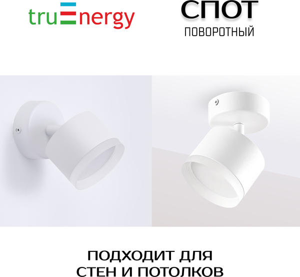 Изображение товара Спот Truenergy 21037