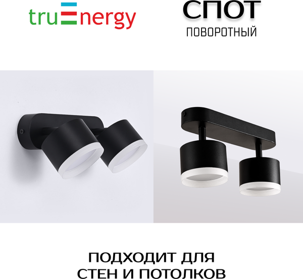 Изображение товара Спот Truenergy 21038