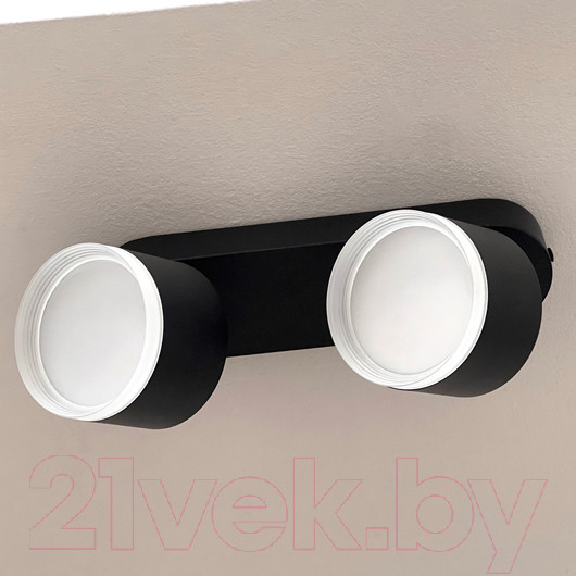 Изображение товара Спот Truenergy 21038