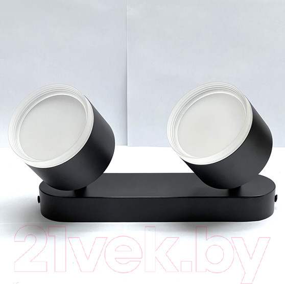 Изображение товара Спот Truenergy 21038