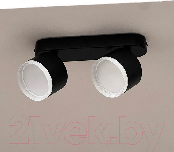 Изображение товара Спот Truenergy 21038