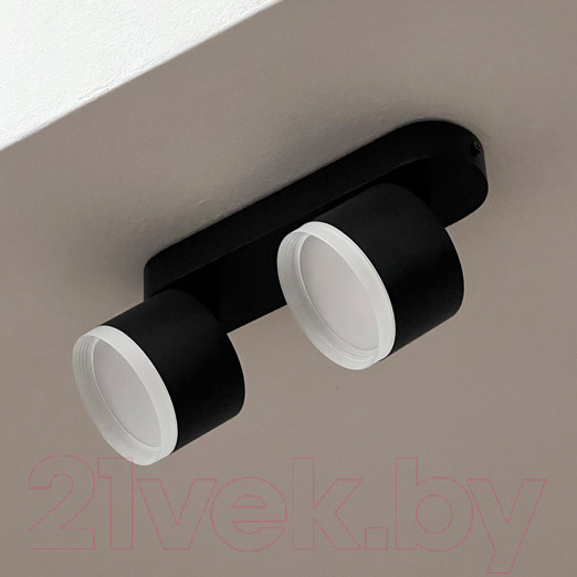 Изображение товара Спот Truenergy 21038