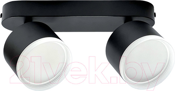 Изображение товара Спот Truenergy 21038