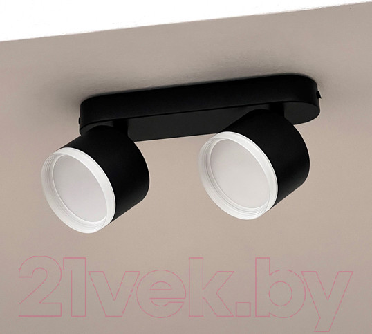 Изображение товара Спот Truenergy 21038