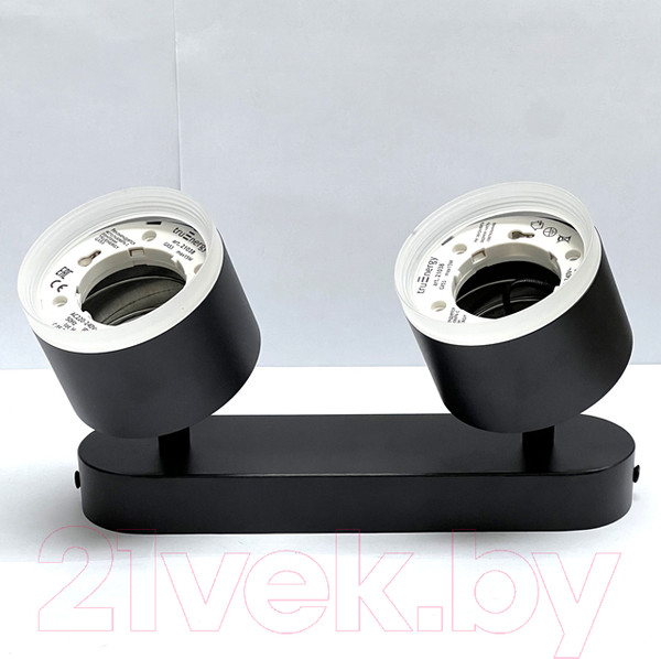 Изображение товара Спот Truenergy 21038