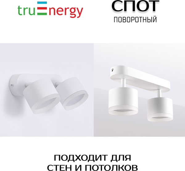 Изображение товара Спот Truenergy 21039