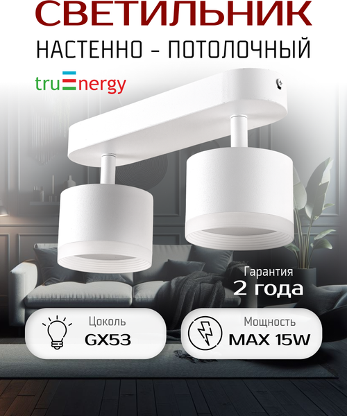 Изображение товара Спот Truenergy 21039