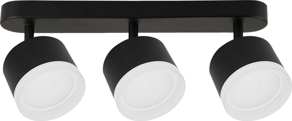 Изображение товара Спот Truenergy 21040